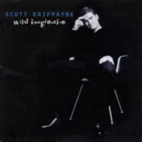 Scott Krippayne Wild Imagination Lyrics